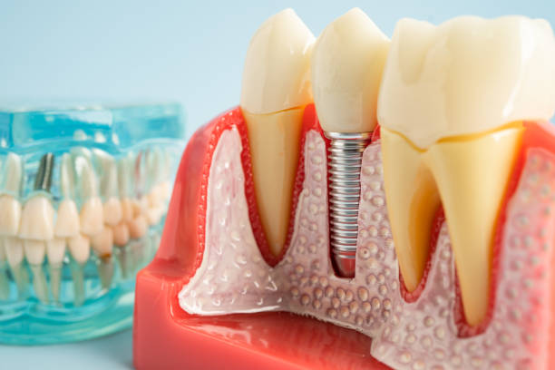 Best Preventive Dentistry  in Campton Hls, IL